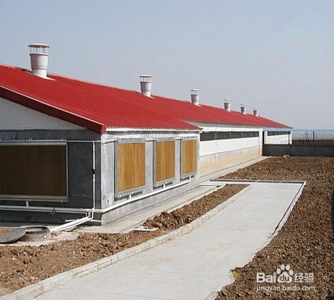 养猪场隔热通风，挂湿帘降温