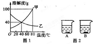 噻虫嗪的溶解性如何，在不同溶剂中的溶解度是多少？