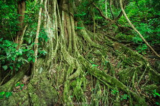 ：与自然共舞， 收获满满