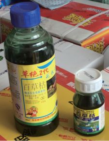 百草枯的流通和监管问题