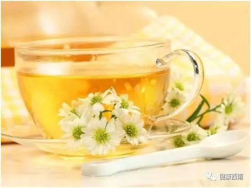猫能喝菊花茶水吗？这些危害你可能不知道