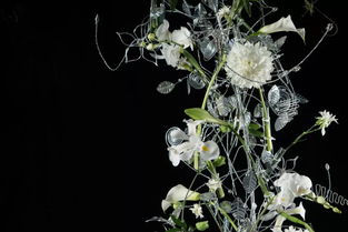 枝叶：花艺设计中的灵动线条