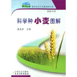 灭多威的副作用揭秘