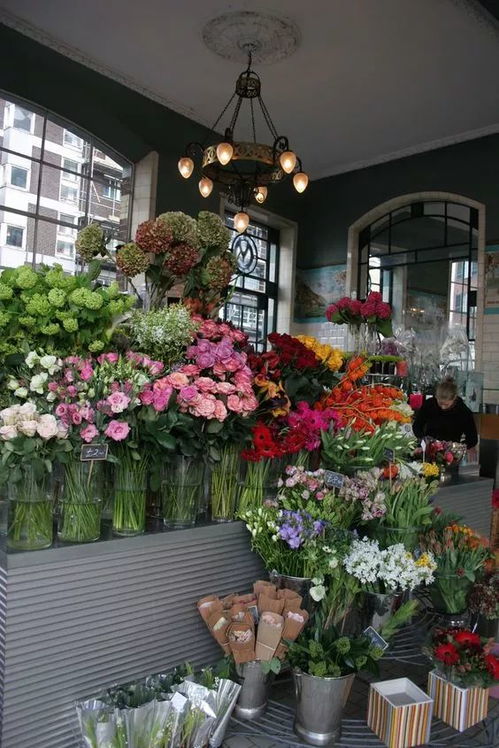 懒人装备与花卉养护技巧