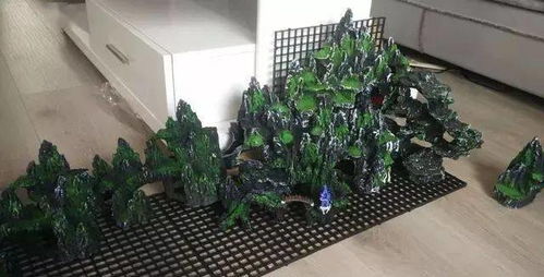 青苔问题， 鱼池假山上的烦恼