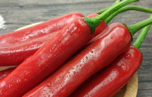 灯笼花是什么？它的功效与作用你知道多少