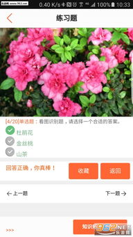 苹果设备安装，简单几步