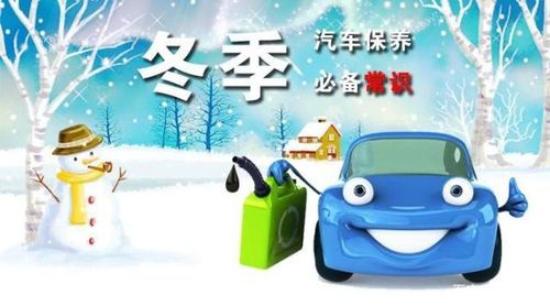 冬天竹子怎么养护才能安全过冬？