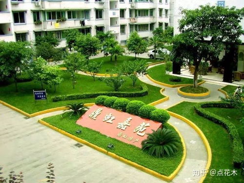 专业团队，才是关键