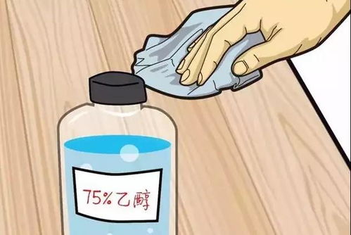 酒精Neng杀死虱子吗？效果如何？