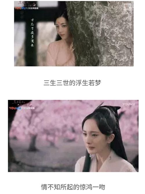 双生花，为何它俩生死相依