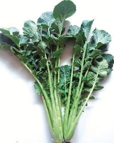“花叶苔菜在什么季节种植最适宜？有哪些具体的种植方法