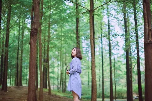 真实案例：李大姐种草的经历，有点意思哦