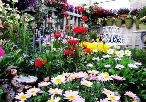 南方城市与北方城市的花卉差异