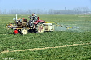 生产加工中的问题
