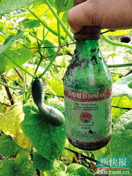 致命错误：单一用药