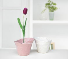 陶瓷花盆的选择与搭配