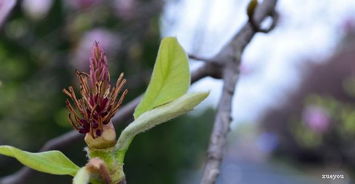 防范为主，防治结合