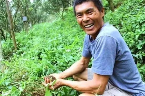 案例分析：隔壁村的王大叔和李大姐的果园