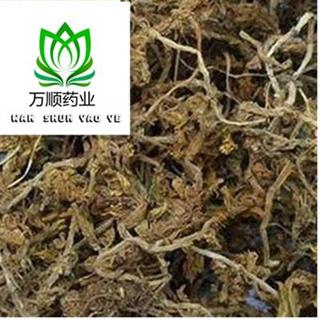 垂盆草有霉味怎么回事？是储存不当还是品质问题