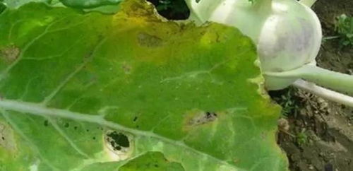使用范围：无处不在 用途广泛