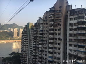 为什么推荐这家公司呢？