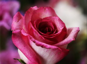 第三步：水质要讲究