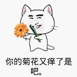 菊花痒是啥原因引起的？这几个原因你一定要知道