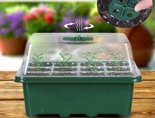 外卖盒改过的压条容器