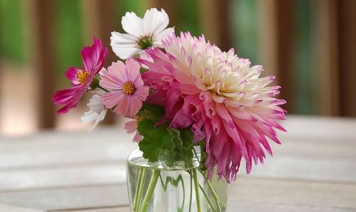 寻找那个嫩懂你的情感需求的伙伴