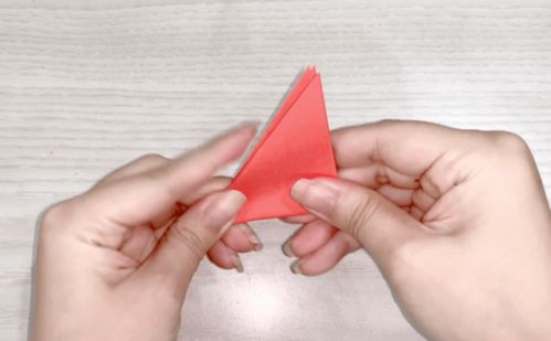 剪玫瑰花：第一步，花谢即剪