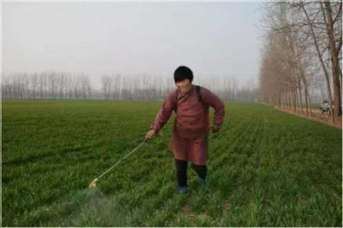 喷除草剂前的准备