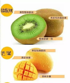 如何挑选含糖量低的水果？老果农教你秘诀