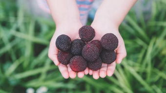 混合使用禁忌要牢记