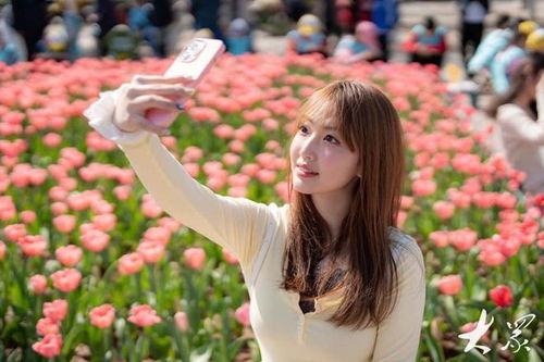 蒲公英花语等待重逢，这份浪漫