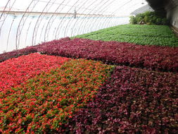 不断学习的新手