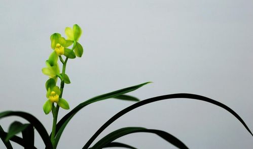 土壤选择：不是随便哪个土者阝行