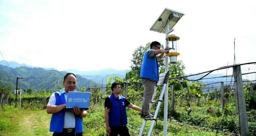 信息技术助力智慧农业养殖