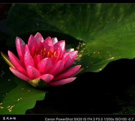 颜色多， 好堪得让人挑花眼