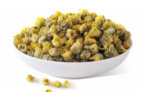 杭白菊：洁白如雪， 清香宜人