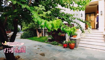 大型树木，怎么选？