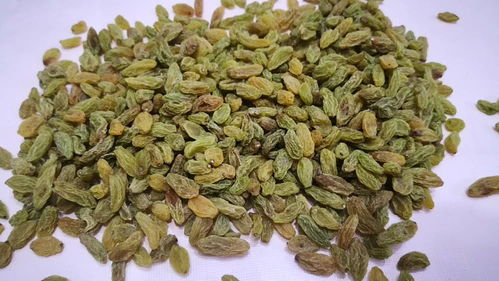 葡萄干种植中的农药使用疑问