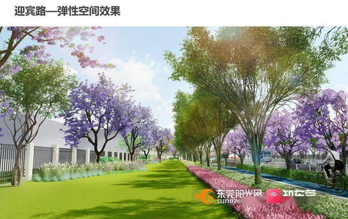 截干， 树高不高，全靠它