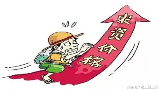 农资价格走势：氮稳、 磷涨、钾平