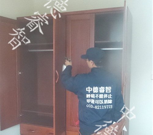 去除甲醛， 价格大揭秘