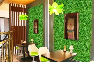 家居之美， 绿意盎然