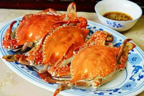 梭子蟹寒性部位：蟹脚最寒