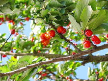 那些作死行为， 你一定要避开