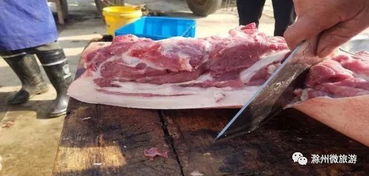饲料添加剂影响猪肉品质与养殖环境