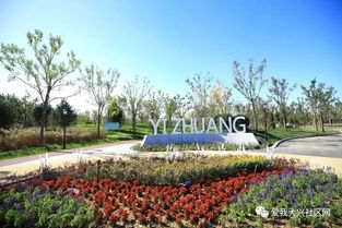 抖音网红“湿冷花园”的秘密